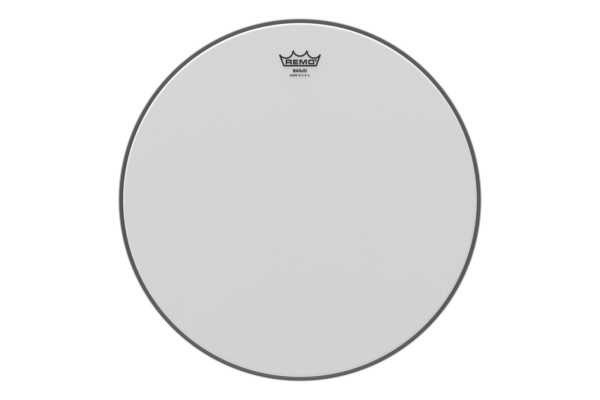 Remo Weather King Banjo Fell 11 "
