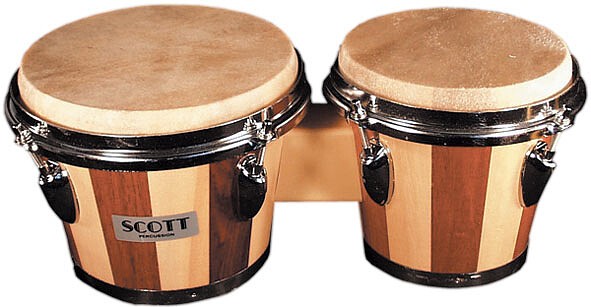 Standard Bongo Scott Percussion