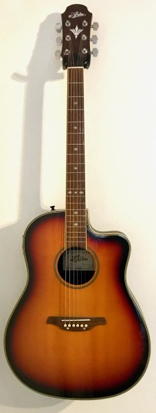 Aria Western Gitarre MBR-20